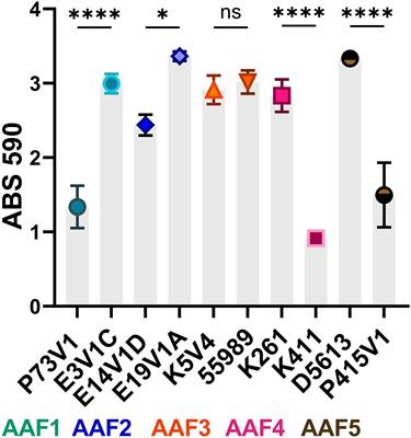 Extracellular components in enteroaggregative Escherichia coli biofilm and impact of treatment with proteinase K, DNase or sodium metaperiodate